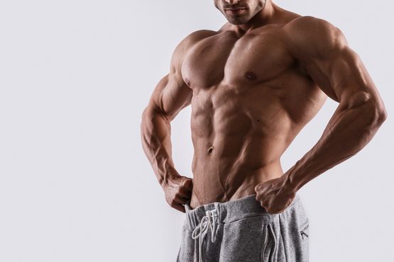 Finestra Anabolica: Comprendere il Momento Cruciale per la Crescita Muscolare